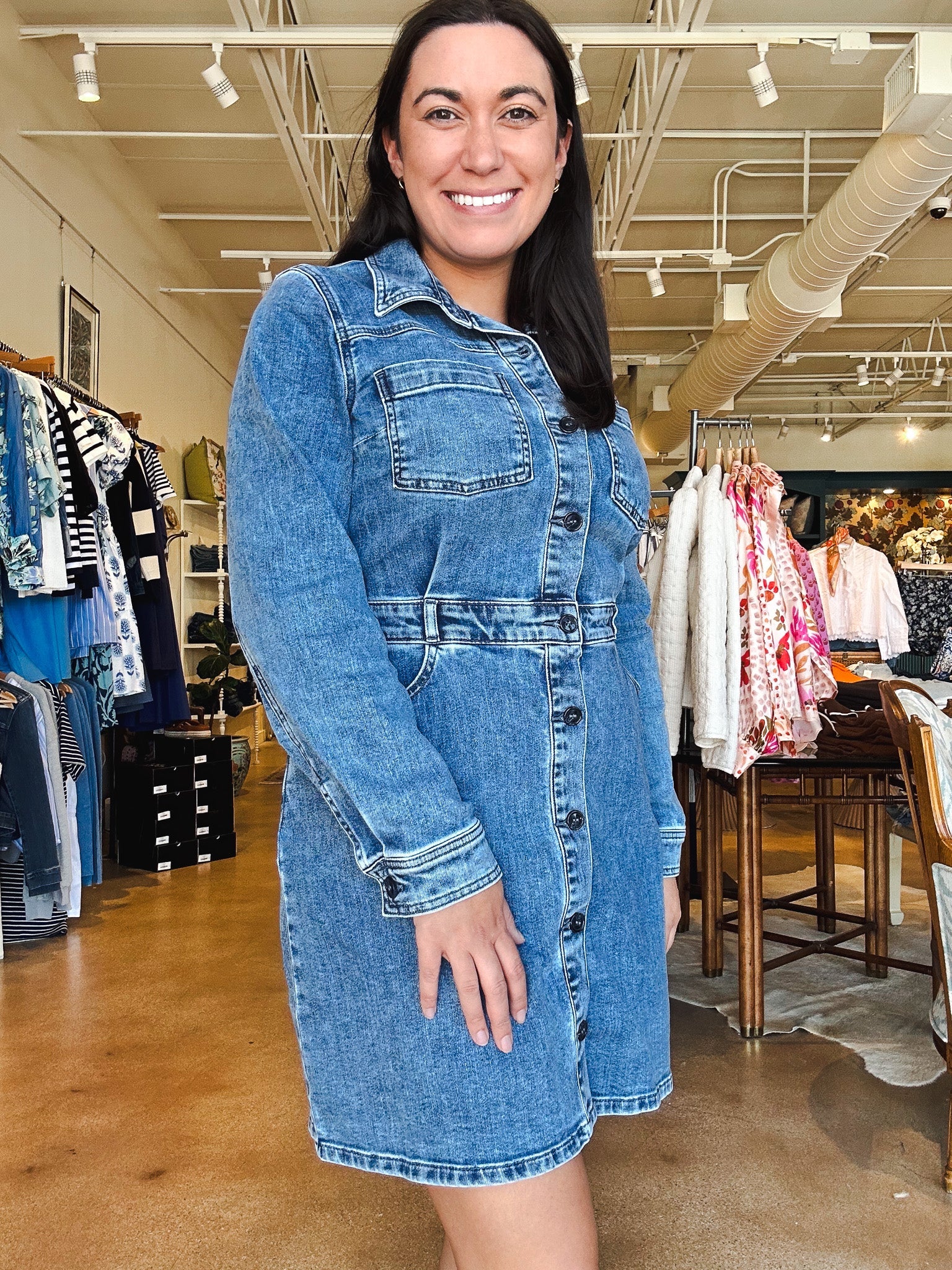 Arlington Denim Dress - Elle Maxine