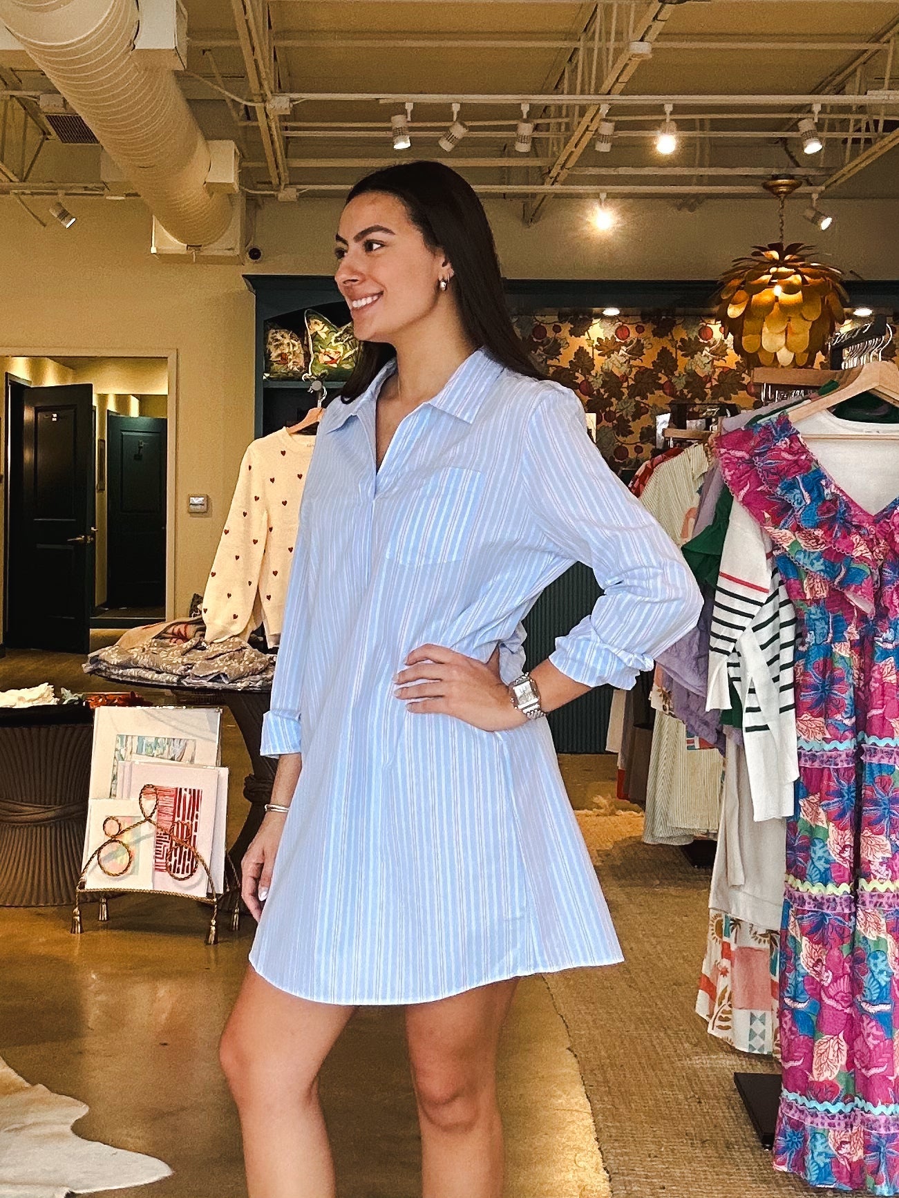 Sumter Dress - Blue Rose Stripe - Elle Maxine