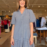 Pebbles Gingham Drop Waist Dress
