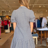 Pebbles Gingham Drop Waist Dress
