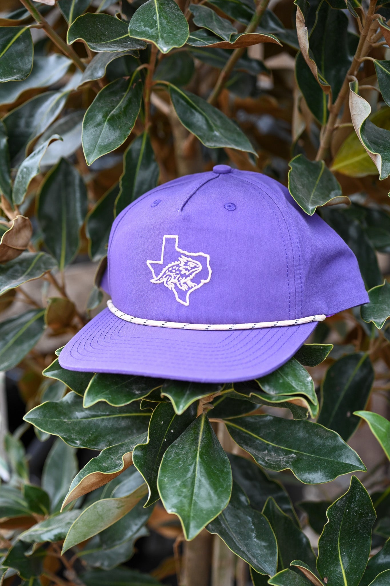 Ardiesco Frog Hat - Elle Maxine