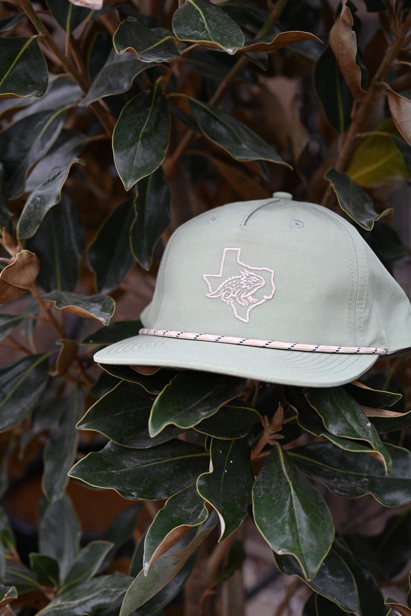 Ardiesco Frog Hat - Elle Maxine