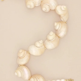 Turbo Shell Necklace