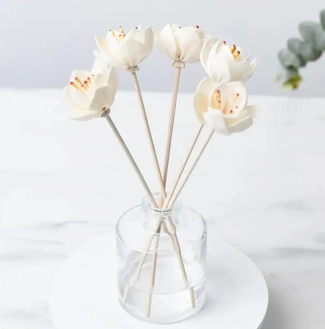 Lynn Ann Ryan Co. Reed Diffuser - Elle Maxine