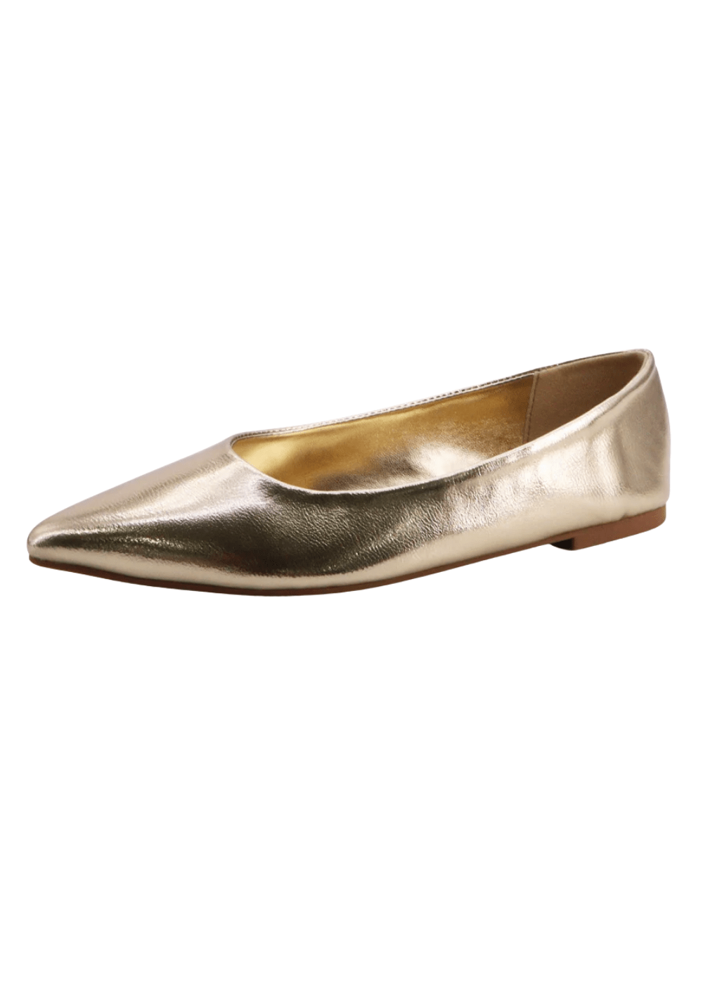 Molly Pointed Flat - Elle Maxine