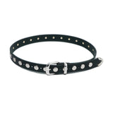 Studded Belt - Black - Elle Maxine