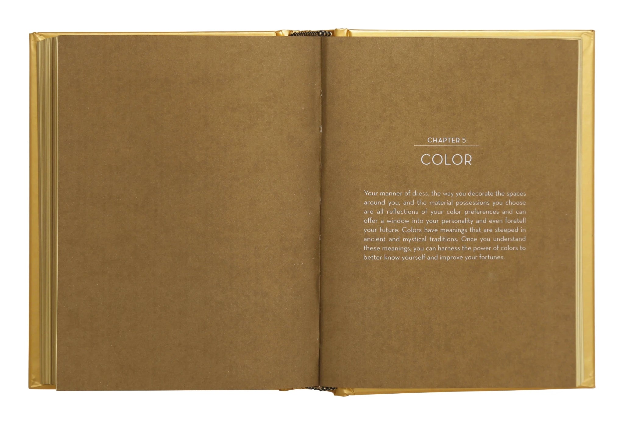 The Golden Book of Fortune Telling - Elle Maxine